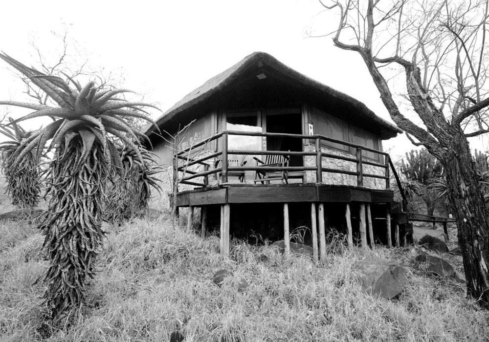 Shayamoya Tiger Fishing And Game Lodge Pongola Eksteriør billede