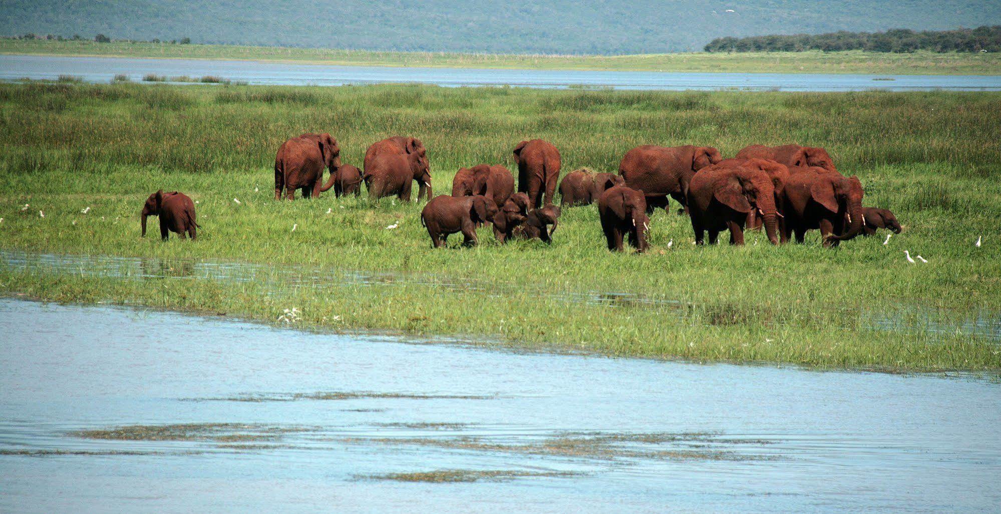 Shayamoya Tiger Fishing And Game Lodge Pongola Eksteriør billede